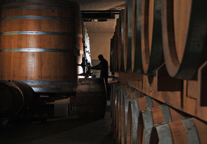 Wine barrels in cellar near Motovun